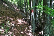 54 Ora in decisa salita 